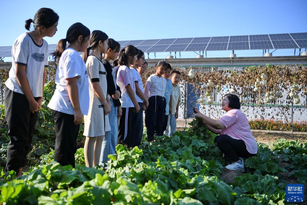 姚记联众斗地主官方首页